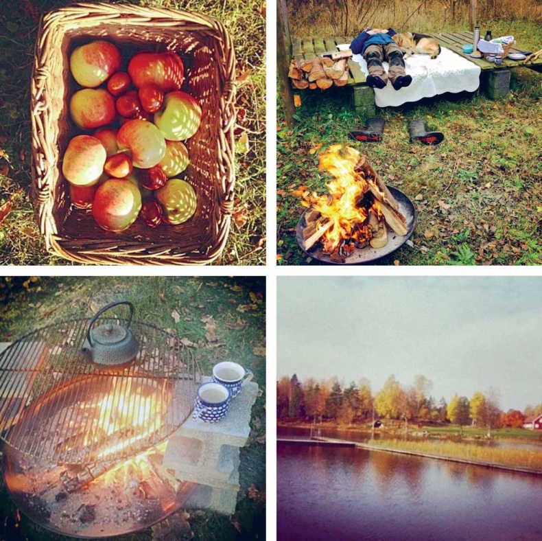 Иллюстрация к книге — Хюгге. Датское искусство счастья [i_092.jpg]