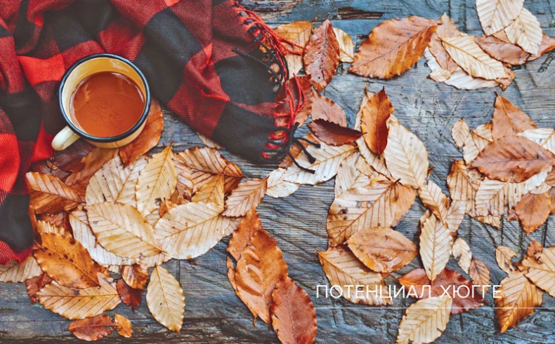 Иллюстрация к книге — Хюгге. Датское искусство счастья [i_107.jpg]