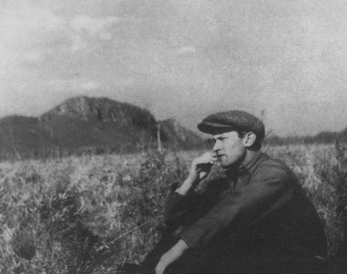 Иллюстрация к книге — Фадеев [i_028.jpg]