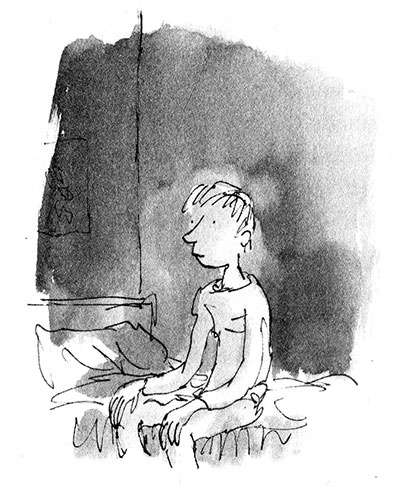 Иллюстрация к книге — Мальчик в платье [i_030.jpg]