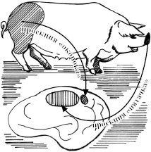 Иллюстрация к книге — Занимательная психология [i_012.jpg]