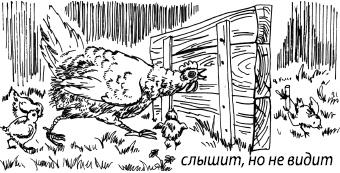 Иллюстрация к книге — Занимательная психология [i_072.jpg]