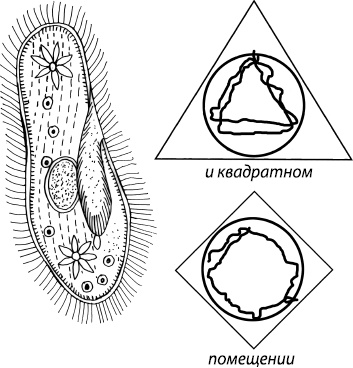 Иллюстрация к книге — Занимательная психология [i_075.jpg]