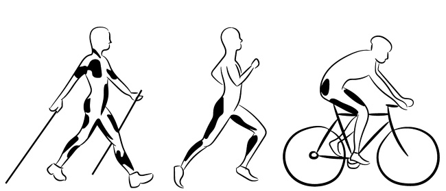 Иллюстрация к книге — Скандинавская ходьба лечит [i_003.jpg]