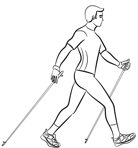 Иллюстрация к книге — Скандинавская ходьба лечит [i_023.jpg]