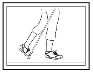 Иллюстрация к книге — Скандинавская ходьба лечит [i_026.jpg]