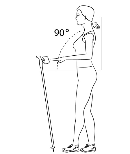 Иллюстрация к книге — Скандинавская ходьба лечит [i_040.jpg]