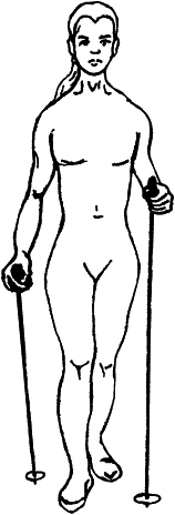 Иллюстрация к книге — Скандинавская ходьба и джоггинг против болезней. Практический курс естественного движения [_074_1.jpg]