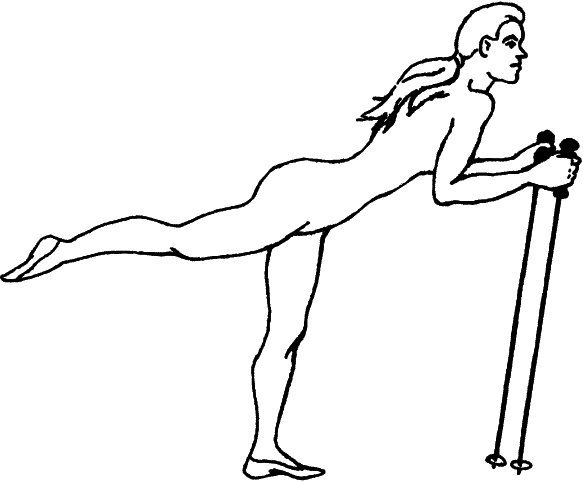 Иллюстрация к книге — Скандинавская ходьба и джоггинг против болезней. Практический курс естественного движения [_144_1.jpg]