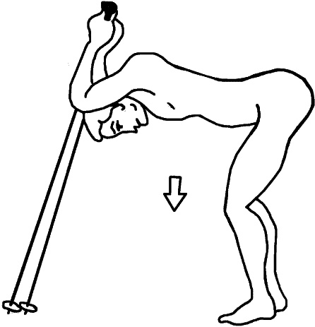 Иллюстрация к книге — Скандинавская ходьба и джоггинг против болезней. Практический курс естественного движения [_146_1.jpg]