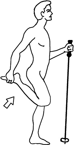 Иллюстрация к книге — Скандинавская ходьба и джоггинг против болезней. Практический курс естественного движения [_147_1.jpg]