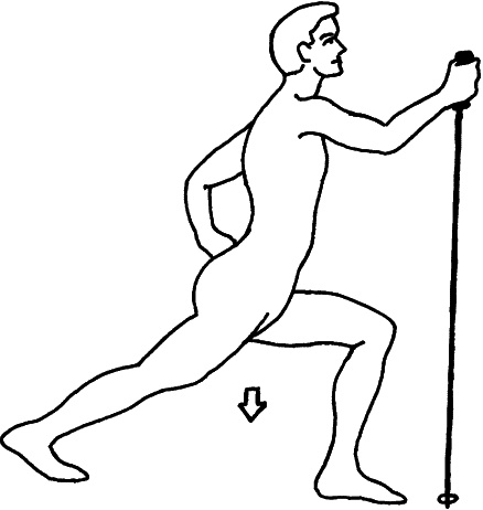 Иллюстрация к книге — Скандинавская ходьба и джоггинг против болезней. Практический курс естественного движения [_149_1.jpg]