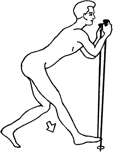 Иллюстрация к книге — Скандинавская ходьба и джоггинг против болезней. Практический курс естественного движения [_149_2.jpg]