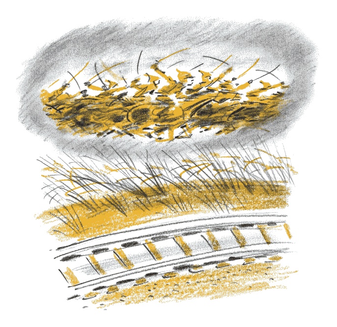 Иллюстрация к книге — Степной ветер [i_019.jpg]