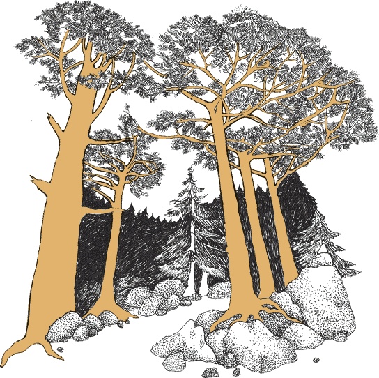 Иллюстрация к книге — Переход [i_003.jpg]