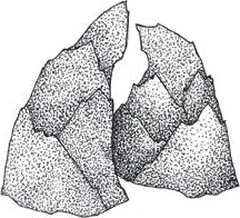 Иллюстрация к книге — Переход [i_005.jpg]