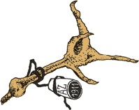 Иллюстрация к книге — Переход [i_006.jpg]