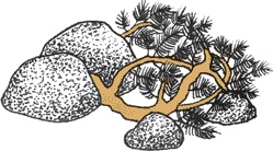 Иллюстрация к книге — Переход [i_029.jpg]