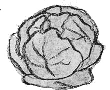 Иллюстрация к книге — Сотворение мира [i_006.jpg]