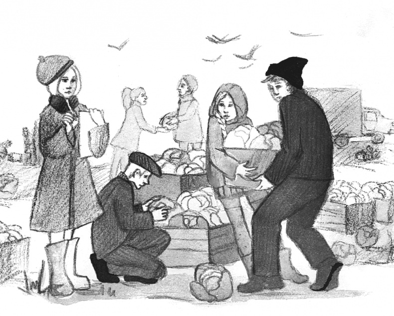 Иллюстрация к книге — Сотворение мира [i_007.jpg]