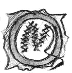 Иллюстрация к книге — Сотворение мира [i_025.jpg]