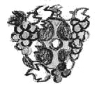 Иллюстрация к книге — Сотворение мира [i_033.jpg]