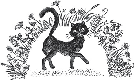 Иллюстрация к книге — Три шага из детства [_007.jpg]