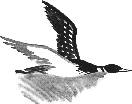 Иллюстрация к книге — Гагара [i_002.jpg]