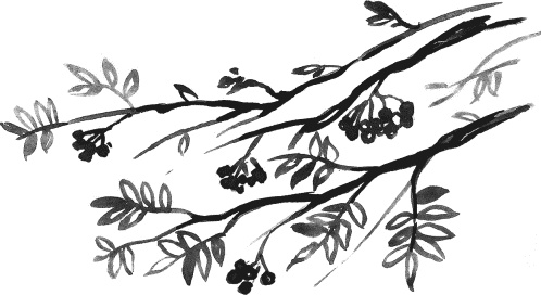 Иллюстрация к книге — Гагара [i_004.jpg]