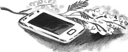 Иллюстрация к книге — Гагара [i_022.jpg]