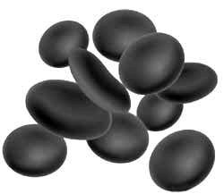 Иллюстрация к книге — Веганское сыроедение и здоровый образ жизни [i_003.jpg]