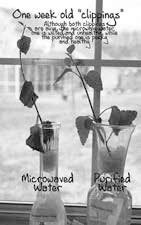 Иллюстрация к книге — Веганское сыроедение и здоровый образ жизни [i_021.jpg]