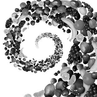 Иллюстрация к книге — Веганское сыроедение и здоровый образ жизни [i_027.jpg]