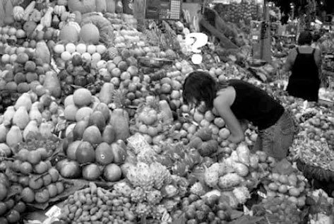 Иллюстрация к книге — Веганское сыроедение и здоровый образ жизни [i_035.jpg]