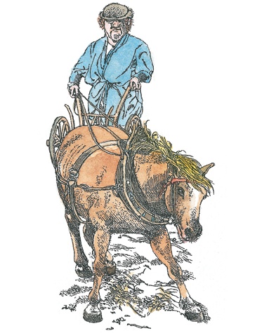 Иллюстрация к книге — Детский университет. Исследователи объясняют загадки мира. Книга первая [i_028.jpg]