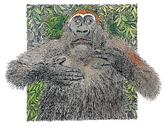 Иллюстрация к книге — Детский университет. Исследователи объясняют загадки мира. Книга первая [i_067.jpg]