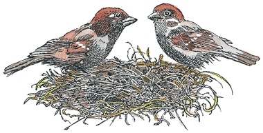 Иллюстрация к книге — Детский университет. Исследователи объясняют загадки мира. Книга первая [i_123.jpg]