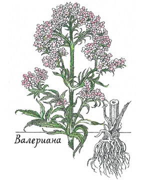 Иллюстрация к книге — Детский университет. Исследователи объясняют загадки мира. Книга первая [i_140.jpg]