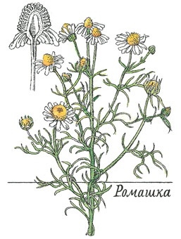 Иллюстрация к книге — Детский университет. Исследователи объясняют загадки мира. Книга первая [i_141.jpg]