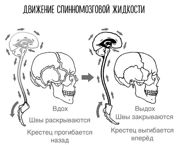 Иллюстрация к книге — Сверхъестественный разум. Как обычные люди делают невозможное с помощью силы подсознания [i_031.jpg]