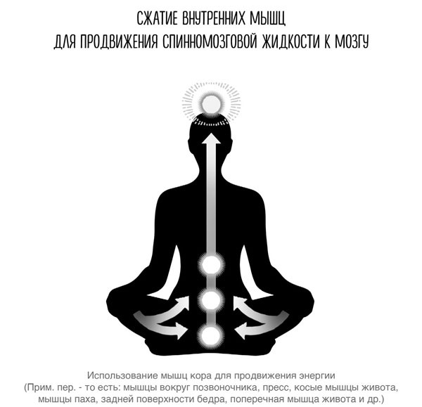 Иллюстрация к книге — Сверхъестественный разум. Как обычные люди делают невозможное с помощью силы подсознания [i_032.jpg]