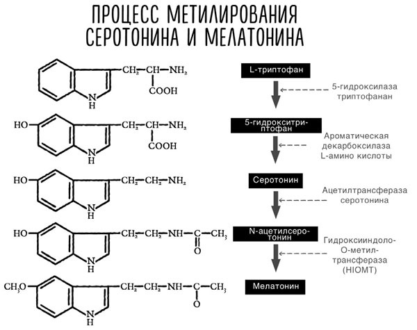 Иллюстрация к книге — Сверхъестественный разум. Как обычные люди делают невозможное с помощью силы подсознания [i_060.jpg]