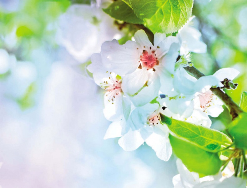 Иллюстрация к книге — Суставная гимнастика [_1.jpg]