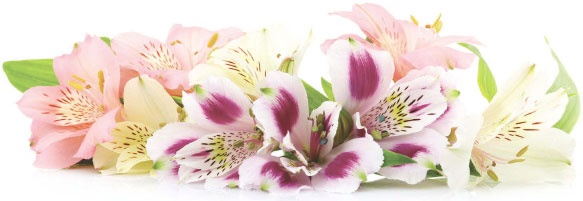 Иллюстрация к книге — Суставная гимнастика [_20.jpg]