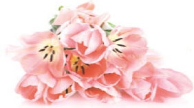 Иллюстрация к книге — Суставная гимнастика [_3.jpg]