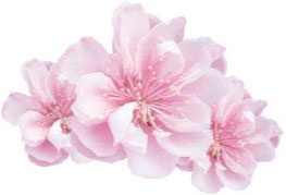 Иллюстрация к книге — Суставная гимнастика [_34.jpg]