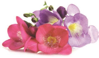 Иллюстрация к книге — Суставная гимнастика [_6.jpg]