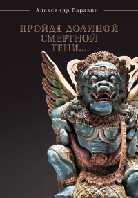 Книга Пройдя долиной смертной тени…