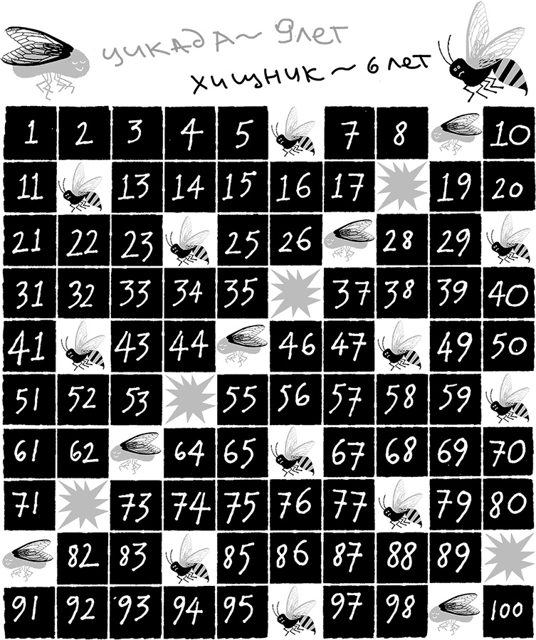 Иллюстрация к книге — Тайны чисел. Математическая одиссея [i_003.jpg]