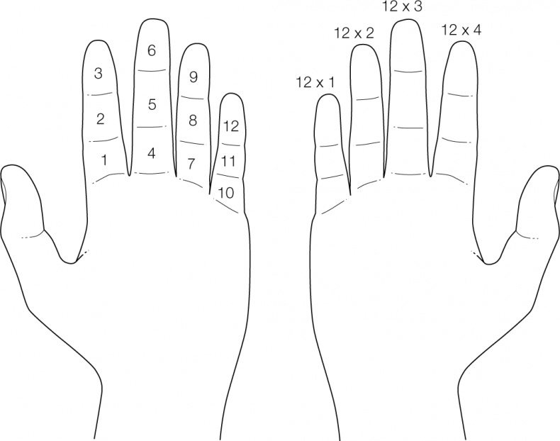 Иллюстрация к книге — Тайны чисел. Математическая одиссея [i_013.jpg]